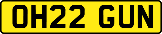 OH22GUN
