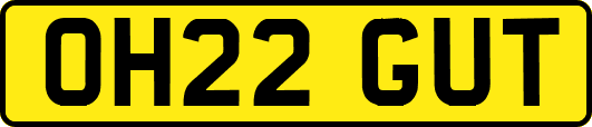 OH22GUT