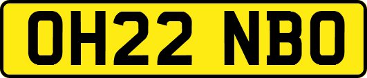 OH22NBO