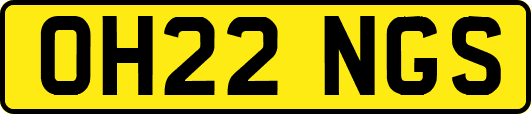 OH22NGS