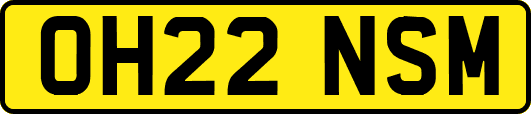 OH22NSM