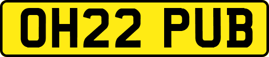 OH22PUB