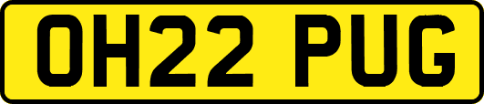 OH22PUG