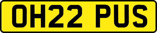 OH22PUS