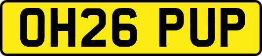 OH26PUP