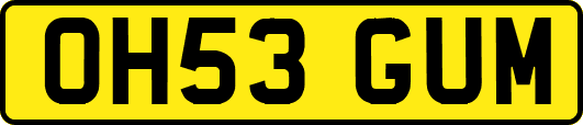 OH53GUM