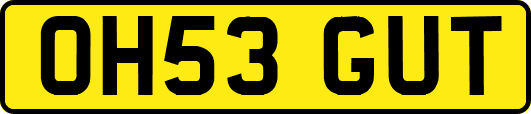 OH53GUT