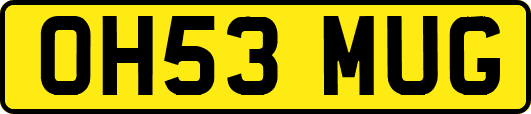 OH53MUG