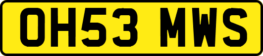 OH53MWS