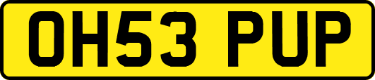 OH53PUP