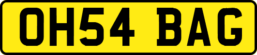OH54BAG