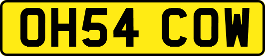 OH54COW
