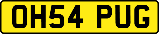 OH54PUG
