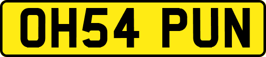 OH54PUN