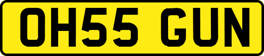 OH55GUN