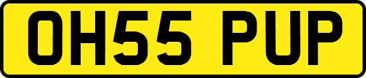 OH55PUP