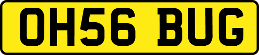 OH56BUG