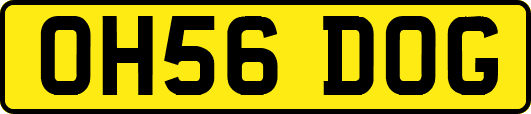 OH56DOG