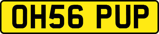 OH56PUP