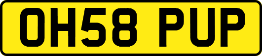 OH58PUP