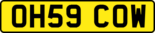 OH59COW