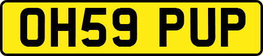 OH59PUP
