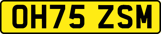 OH75ZSM