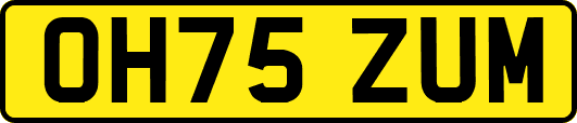 OH75ZUM