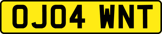 OJ04WNT