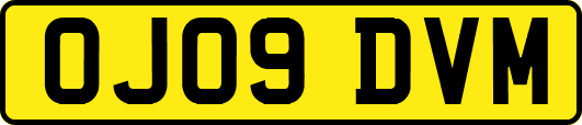 OJ09DVM