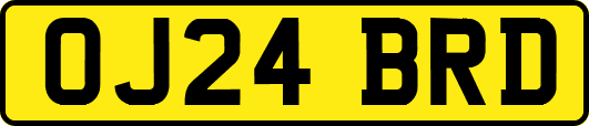 OJ24BRD