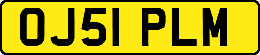 OJ51PLM