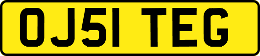 OJ51TEG
