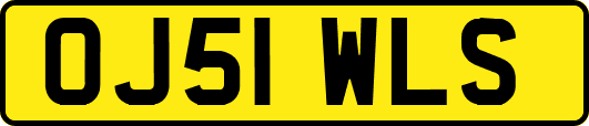 OJ51WLS