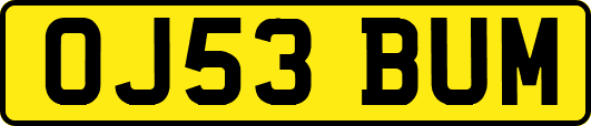 OJ53BUM