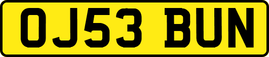 OJ53BUN