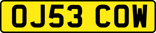 OJ53COW