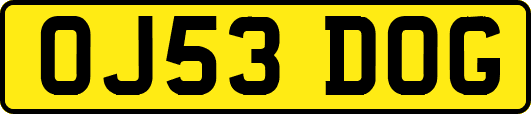 OJ53DOG