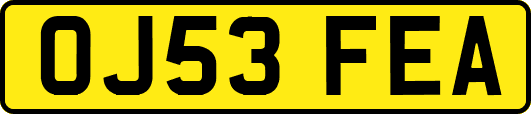 OJ53FEA