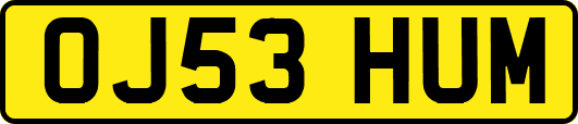 OJ53HUM