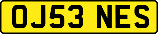 OJ53NES