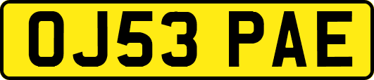 OJ53PAE