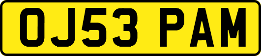 OJ53PAM
