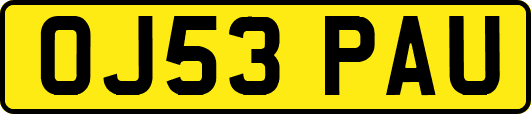 OJ53PAU