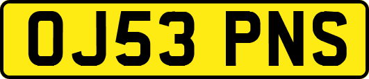 OJ53PNS