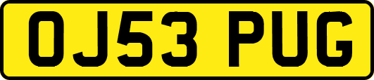 OJ53PUG