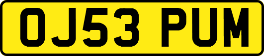 OJ53PUM