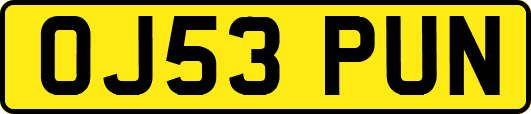 OJ53PUN