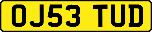 OJ53TUD