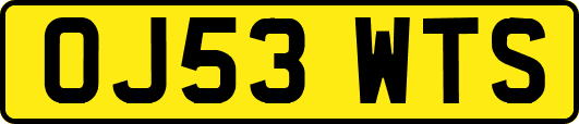 OJ53WTS